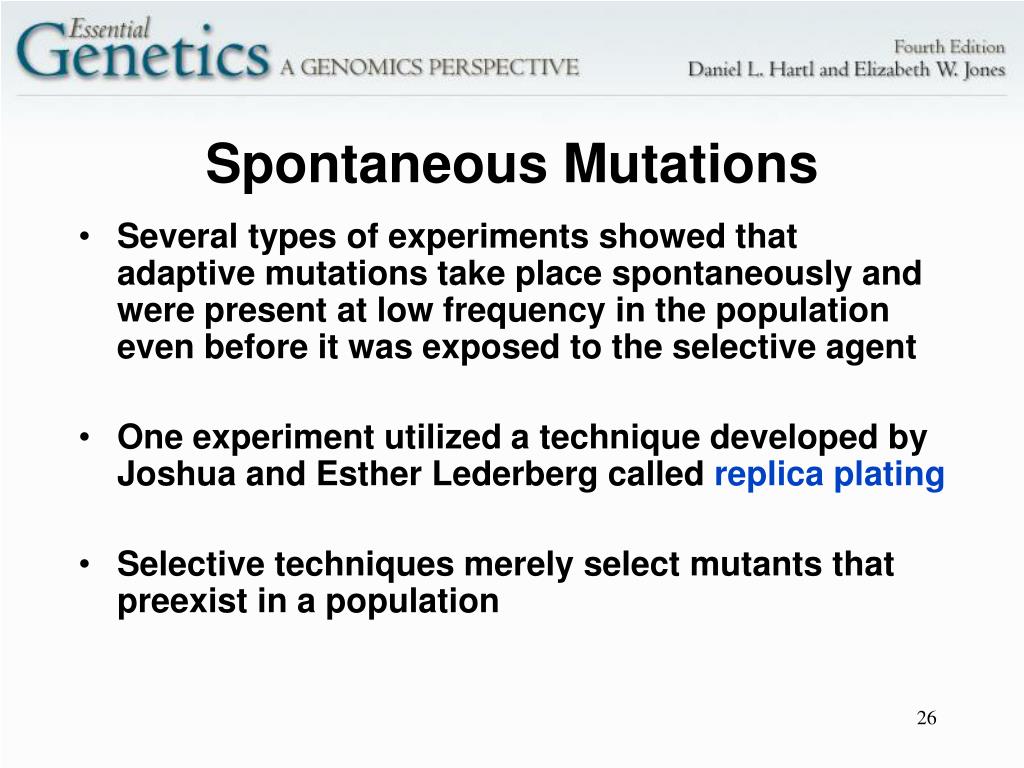 PPT 12 Molecular Mechanisms of Mutation and DNA Repair PowerPoint