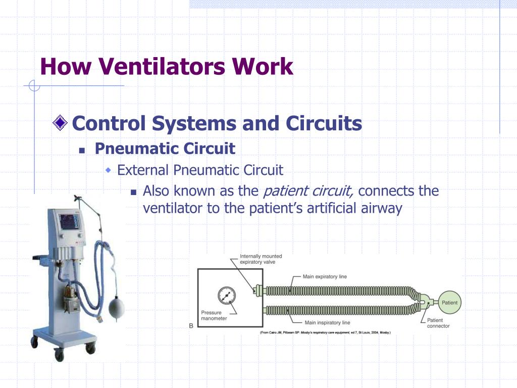 PPT Principles of Mechanical Ventilation PowerPoint Presentation