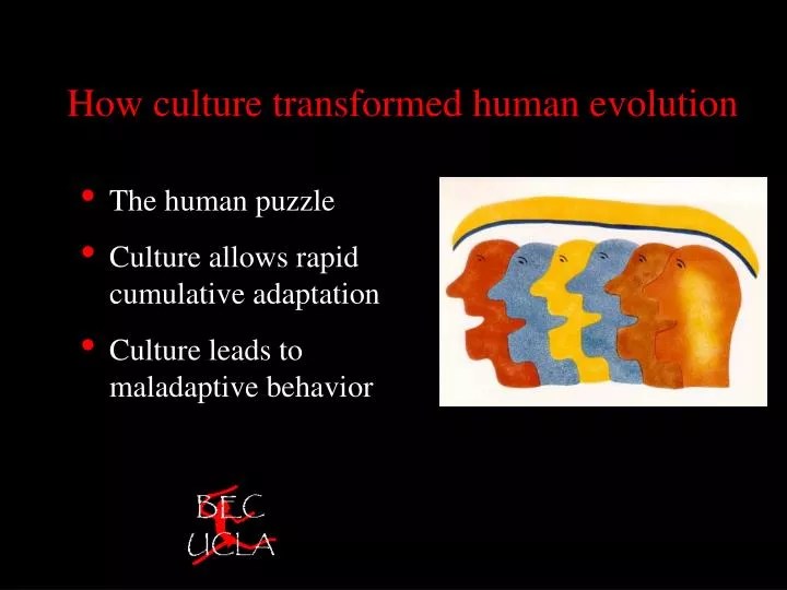 PPT How culture transformed human evolution PowerPoint Presentation