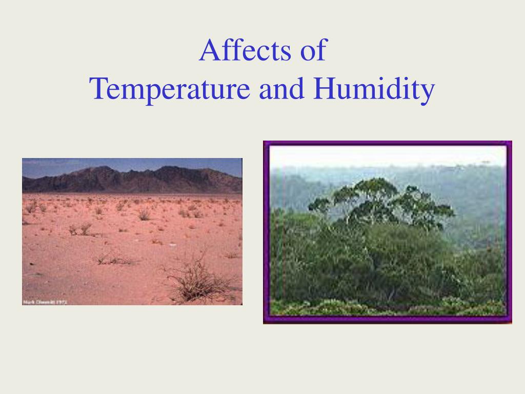 PPT Transpiration PowerPoint Presentation, free download ID6875432