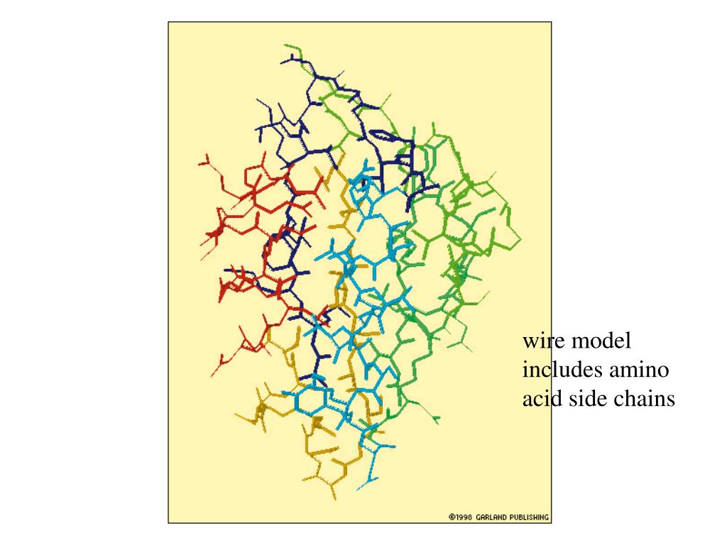PPT Proteins are made up of amino acids covalently bonded together by
