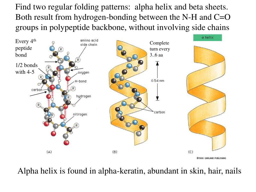 PPT Proteins are made up of amino acids covalently bonded together by