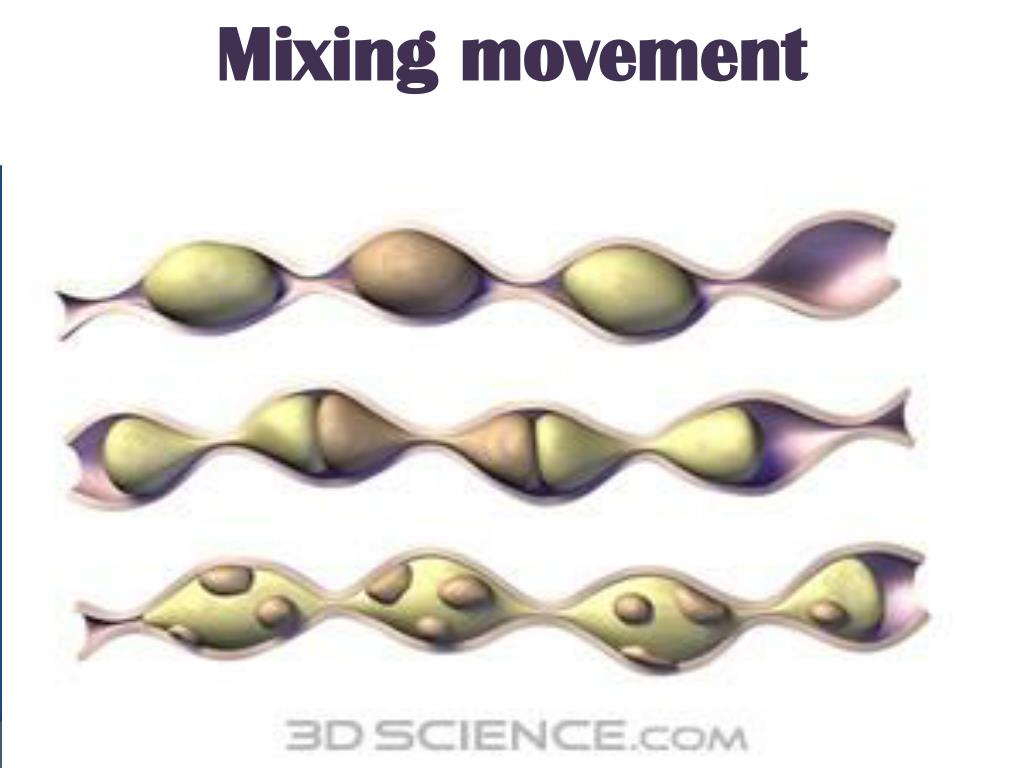 PPT MOTILITY OF THE GUT PowerPoint Presentation, free download ID