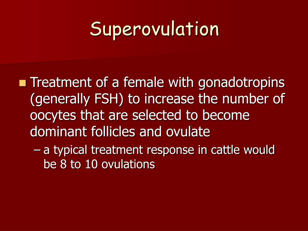 PPT Estrous Synchronization Superovulation and Embryo Transfer