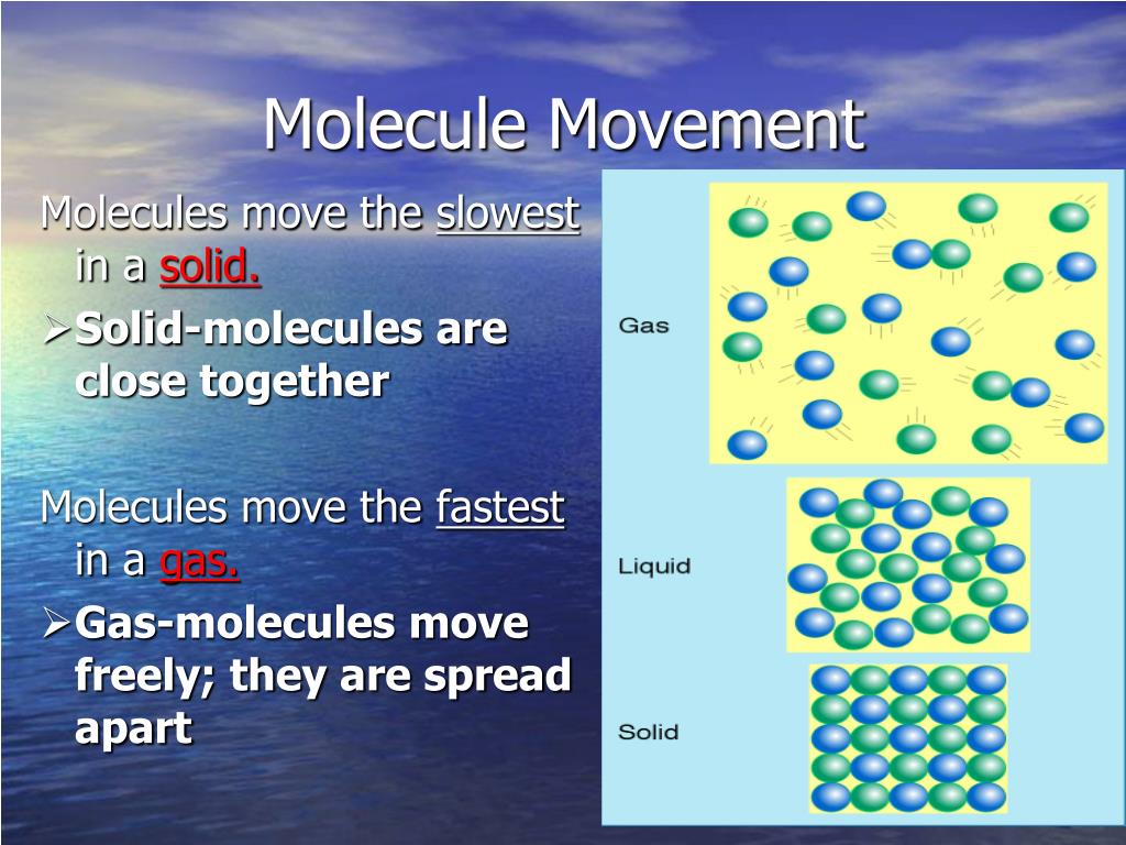 PPT The Properties of Water PowerPoint Presentation, free download
