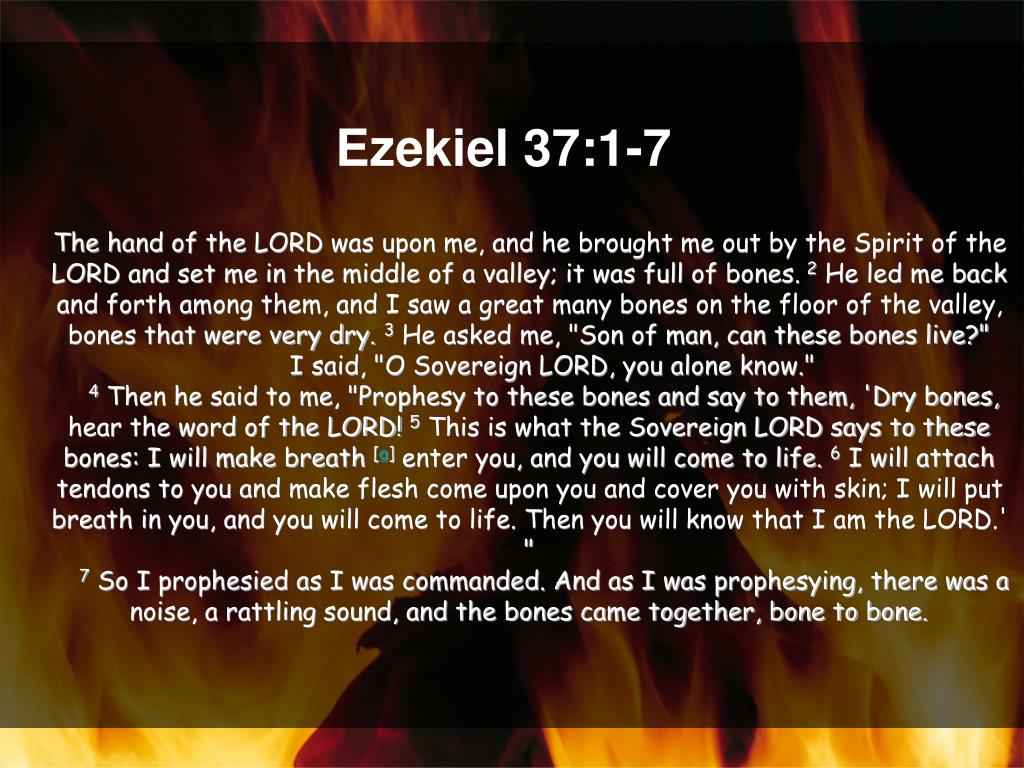 PPT Ezekiel 37114 PowerPoint Presentation, free download ID6878711