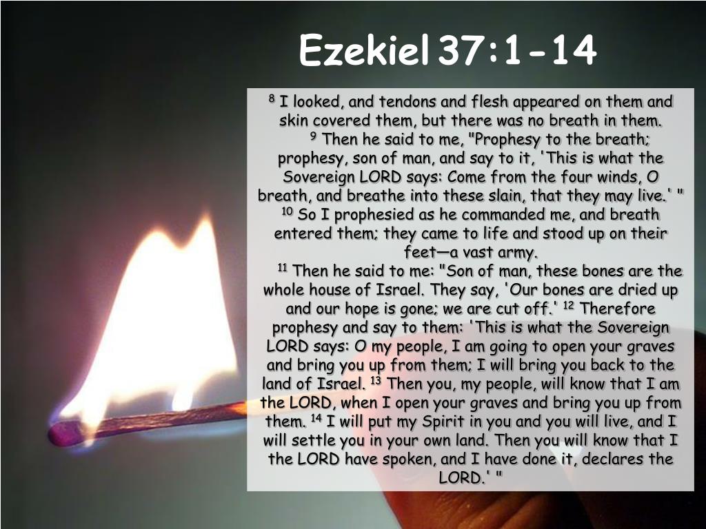 PPT Ezekiel 37114 PowerPoint Presentation, free download ID6878711
