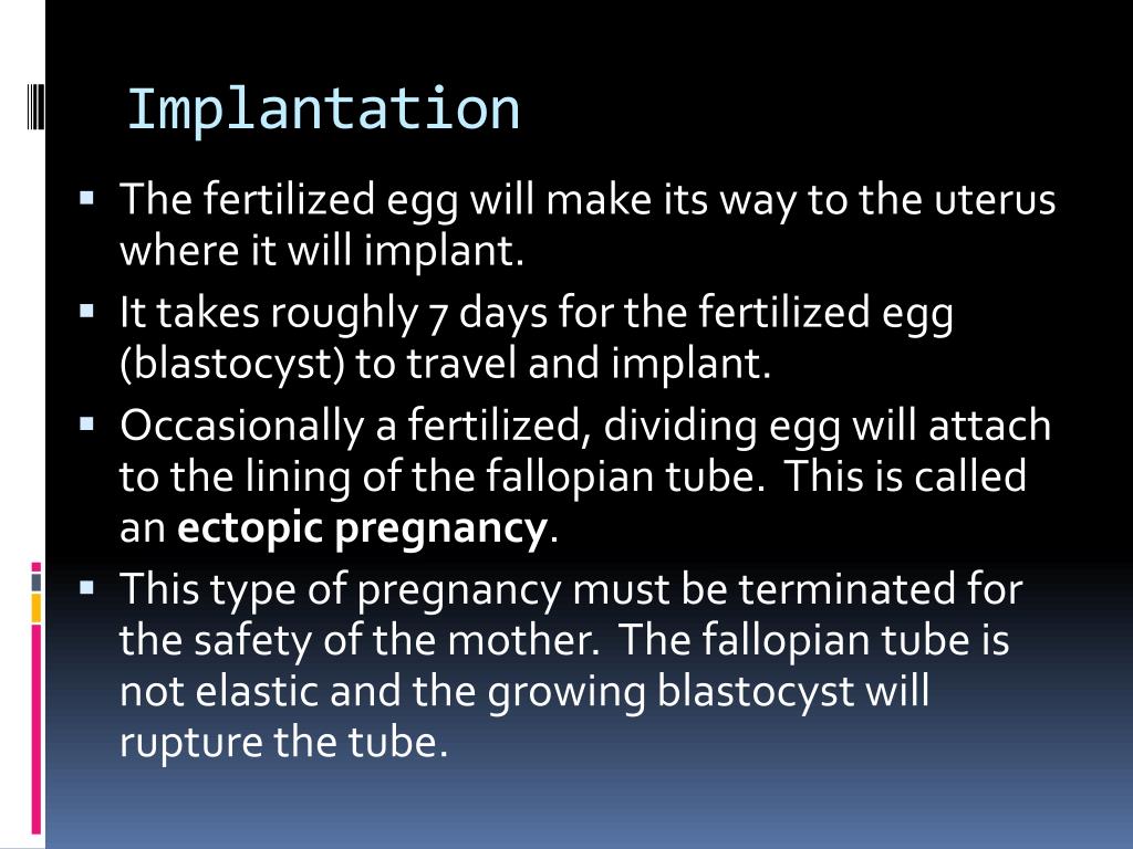 PPT Menstrual Cycle, Pregnancy, & Birth PowerPoint Presentation, free