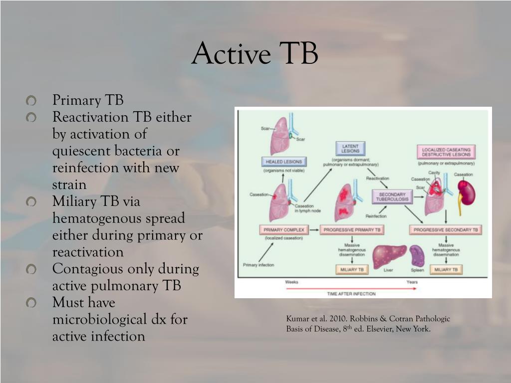 PPT Tuberculosis PowerPoint Presentation, free download ID6879239