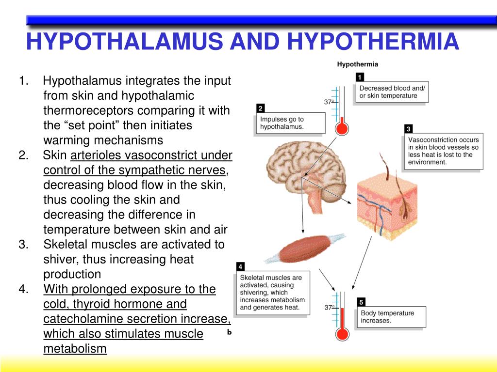 PPT C H A P T E R 10 PowerPoint Presentation, free download ID6879837