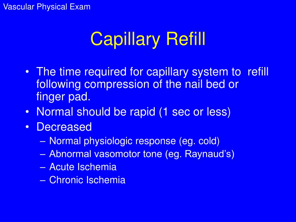 PPT PHYSICAL EXAMINATION of the VASCULAR SYSTEM PowerPoint