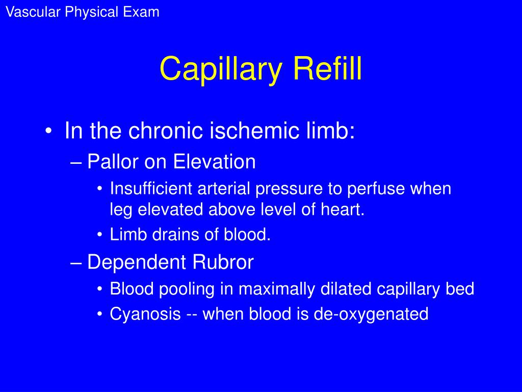 PPT PHYSICAL EXAMINATION of the VASCULAR SYSTEM PowerPoint