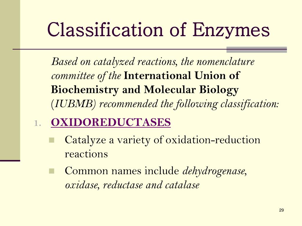 PPT ENZYMES PowerPoint Presentation, free download ID6886656