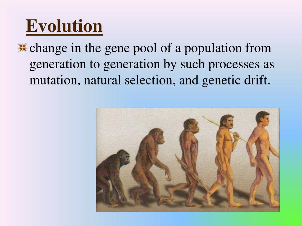 PPT Anthropology PowerPoint Presentation, free download ID6890046