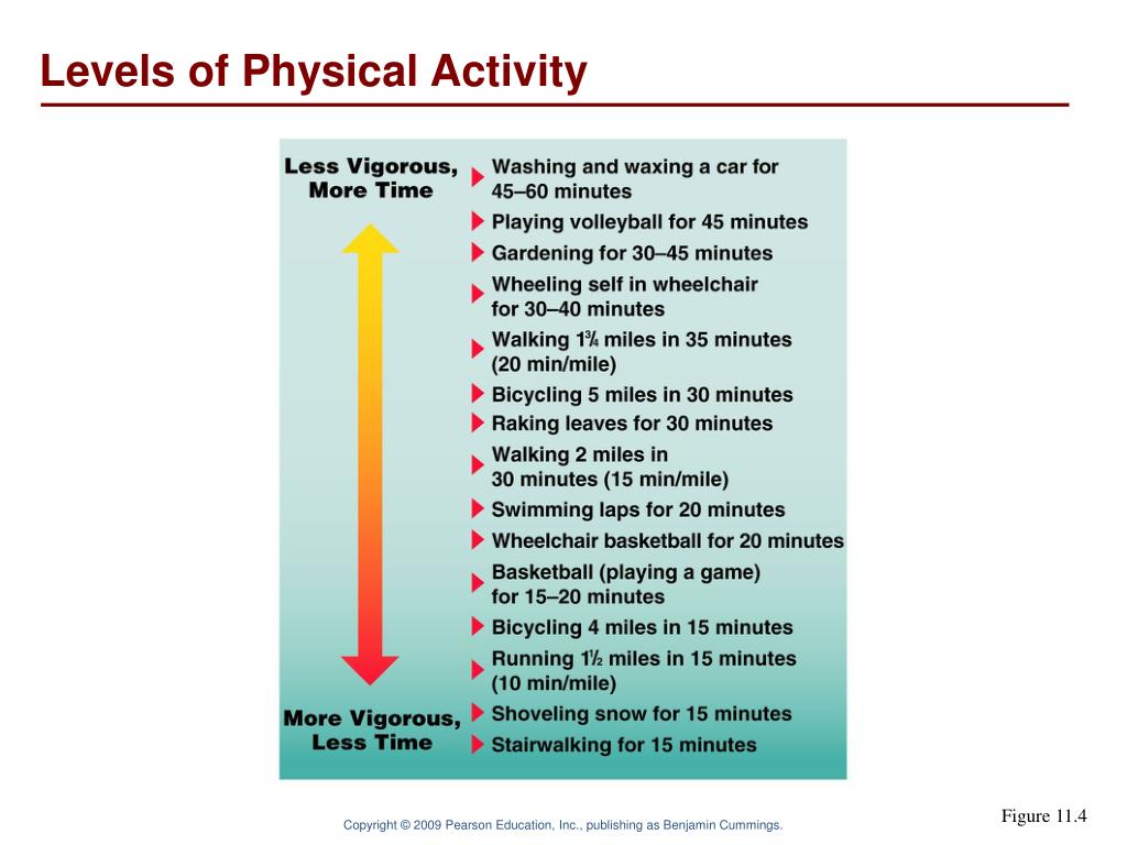 PPT Personal Fitness Improving Health through Exercise PowerPoint