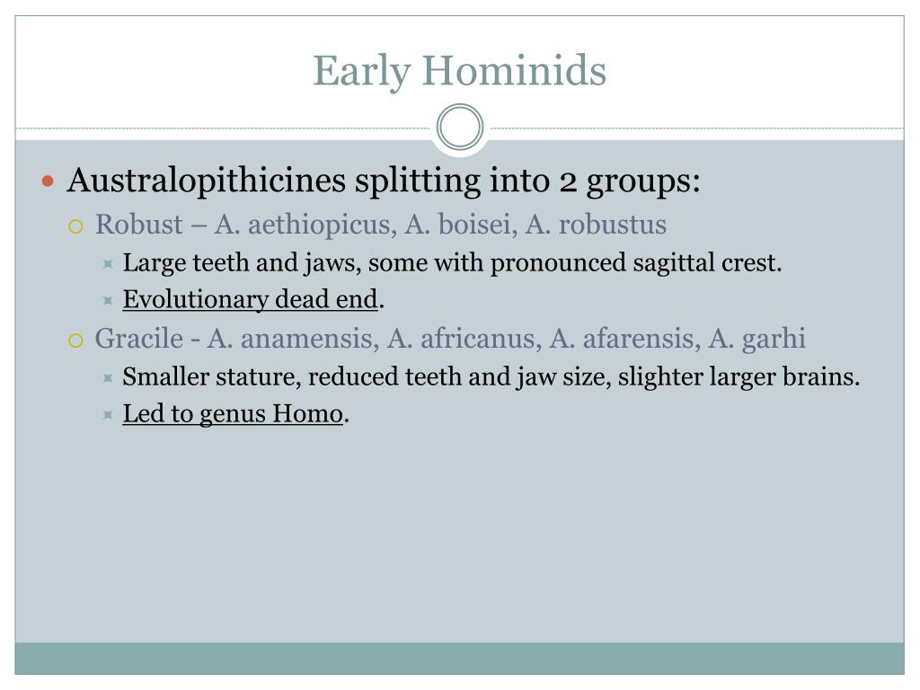 PPT Origins of Genus Homo PowerPoint Presentation, free