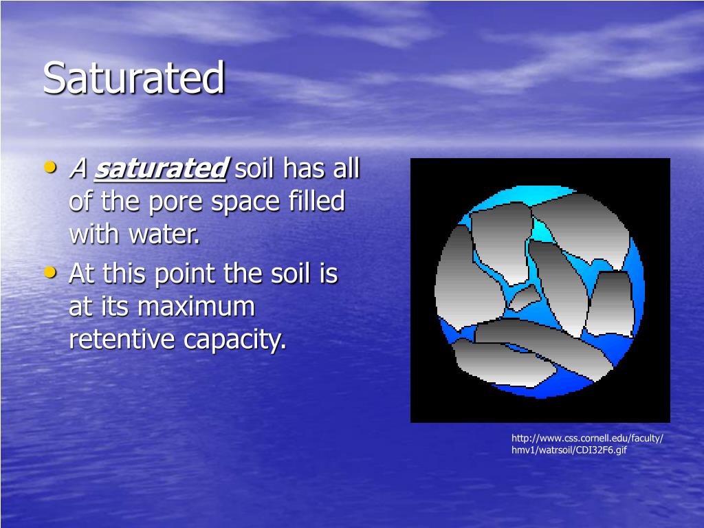 PPT Soil Moisture Retention PowerPoint Presentation, free download