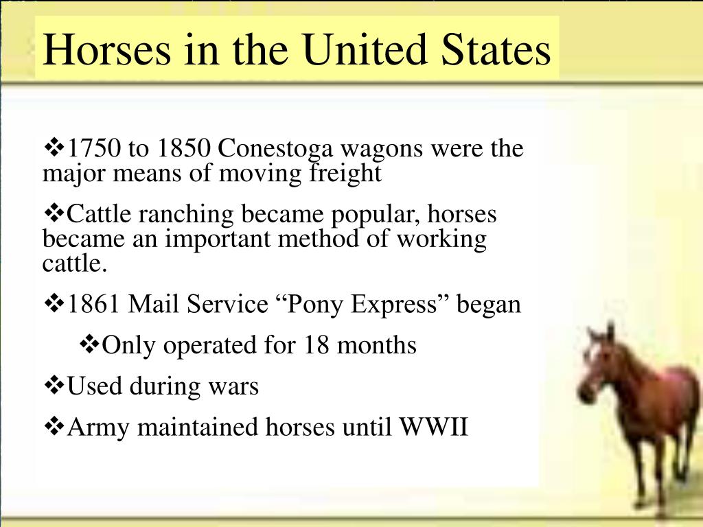 PPT History of the Horse PowerPoint Presentation, free download ID
