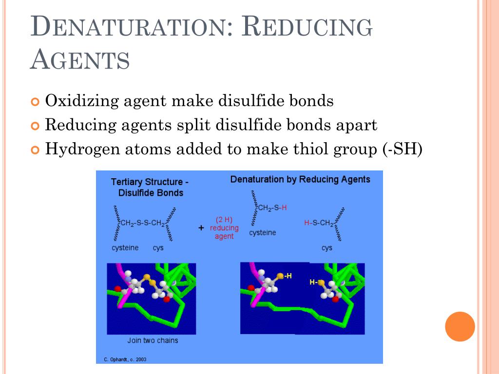 PPT Secondary, Tertiary, Quaternary Protein Structure and