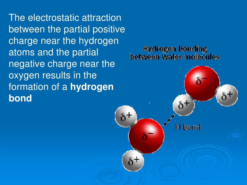 PPT Water as a Polar Molecule PowerPoint Presentation, free download