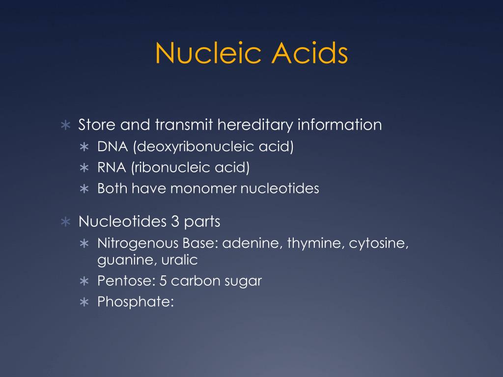 PPT Steroid Structure PowerPoint Presentation, free download ID6902889