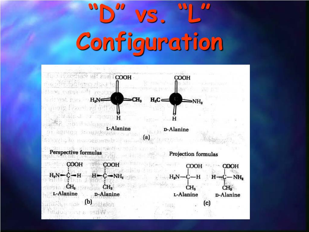 PPT Proteins/Amino Acids PowerPoint Presentation, free download ID