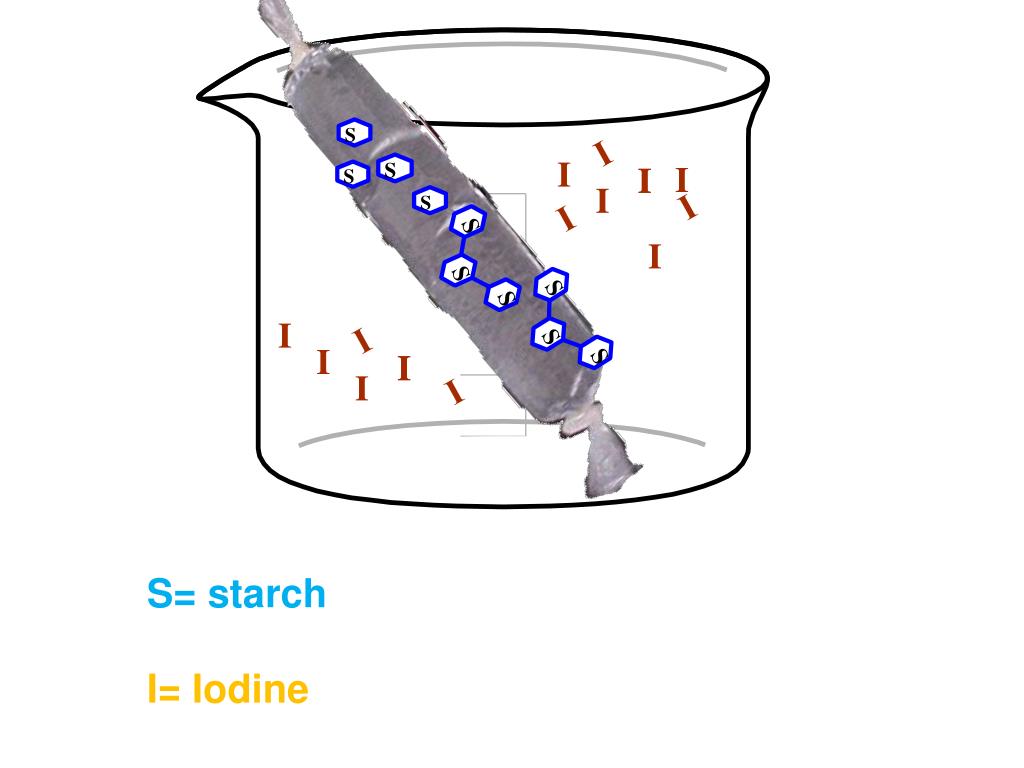 PPT NYS Lab Diffusion Through a Membrane PowerPoint Presentation