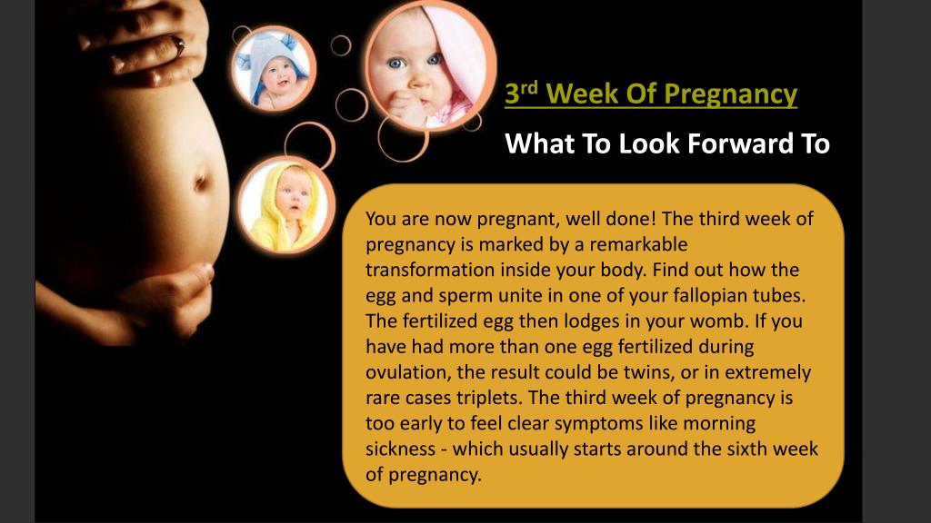 PPT 3 Weeks Pregnant What To Expect Week By Week Pregnancy G