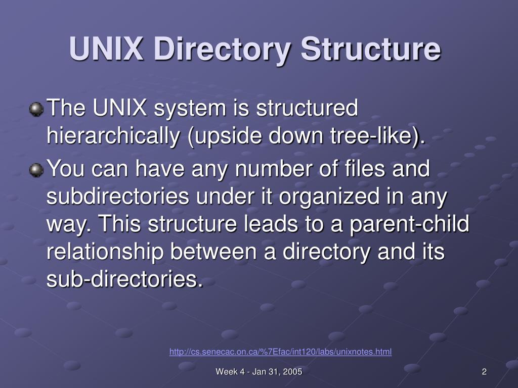 PPT - Week 4 Agenda PowerPoint Presentation, free download - ID:6922703