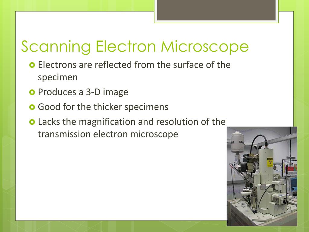 PPT Microscope Basics PowerPoint Presentation, free download ID6927182