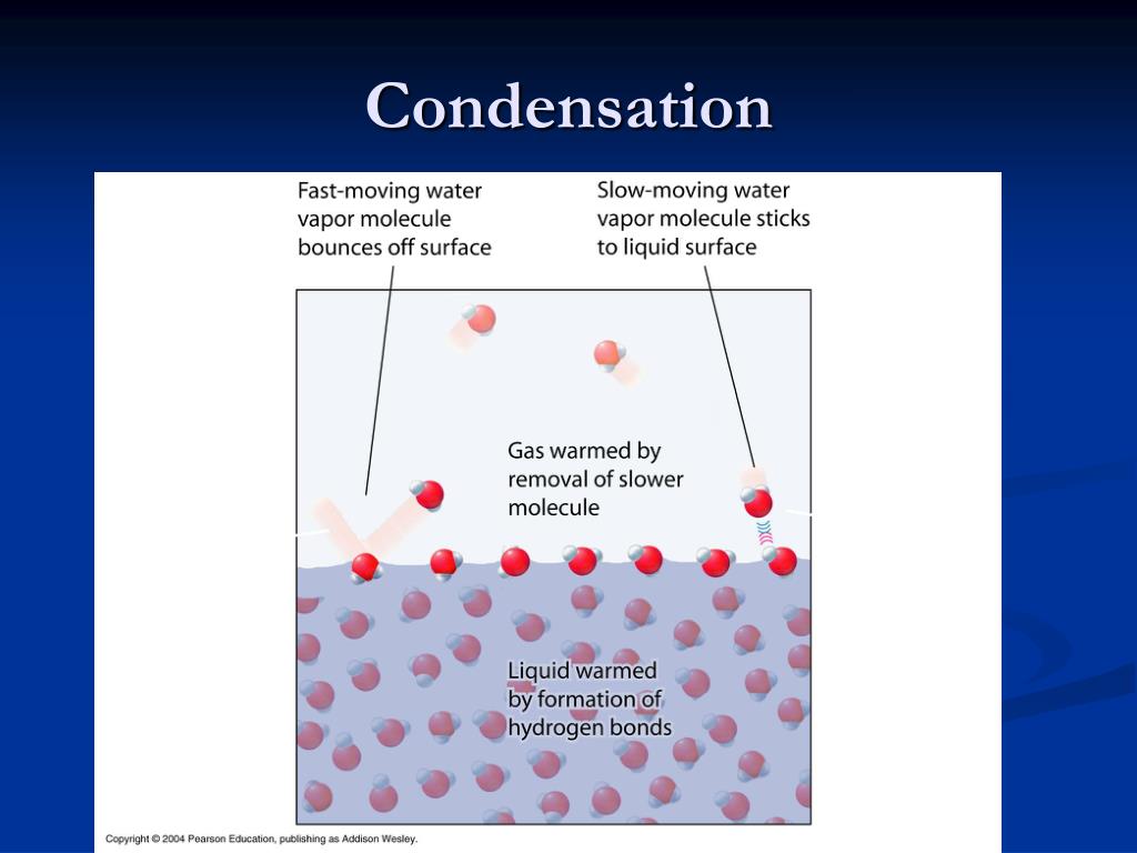 PPT Chapter 8 Heat Transfer & Change of Phase PowerPoint Presentation