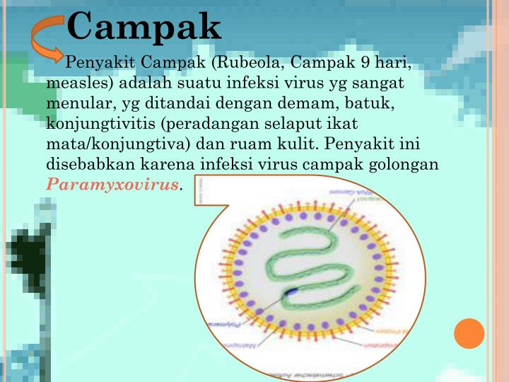 PPT CAMPAK PowerPoint Presentation ID6938093