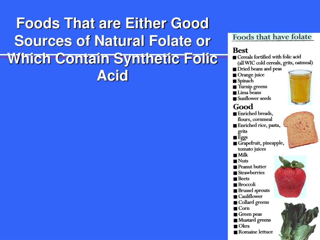 PPT Neural Tube Defects PowerPoint Presentation, free download ID