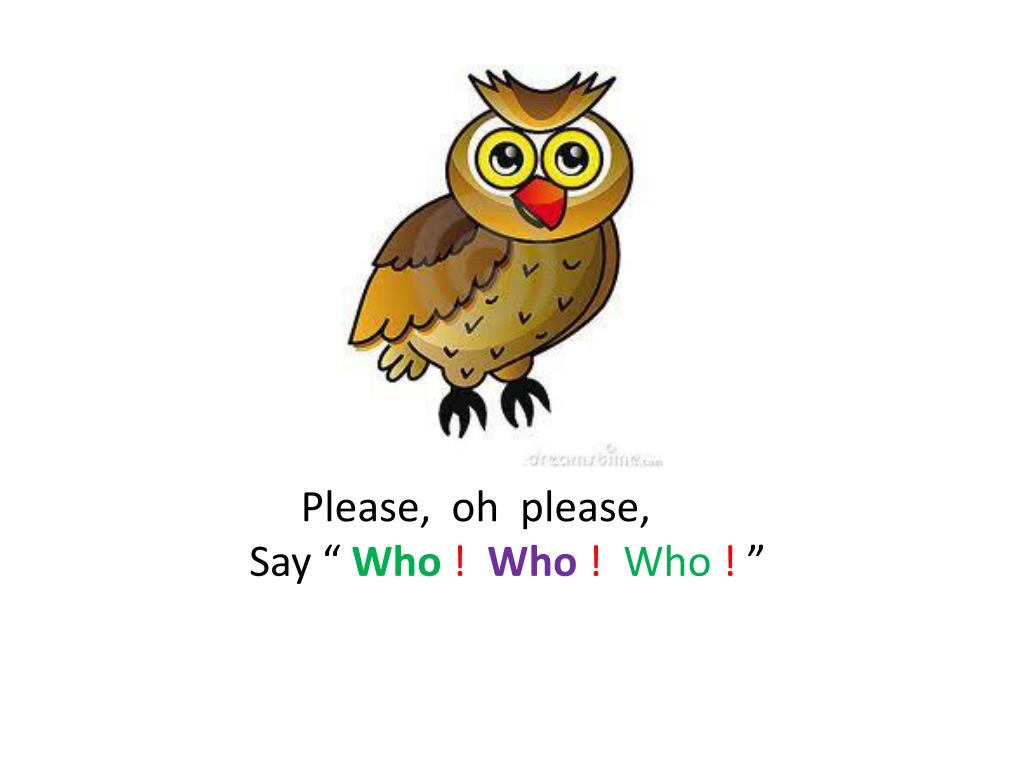 PPT Five little owls learning to say, “ Who ? ” PowerPoint