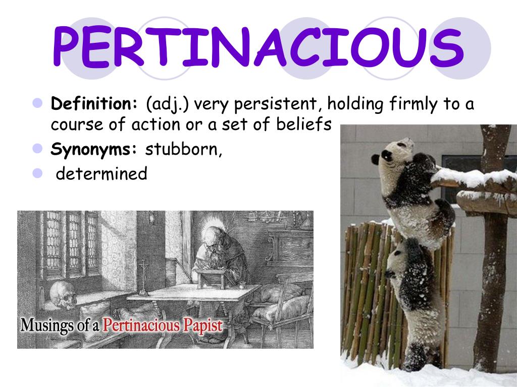 PPT Vocabulary PowerPoint Presentation, free download ID6951421