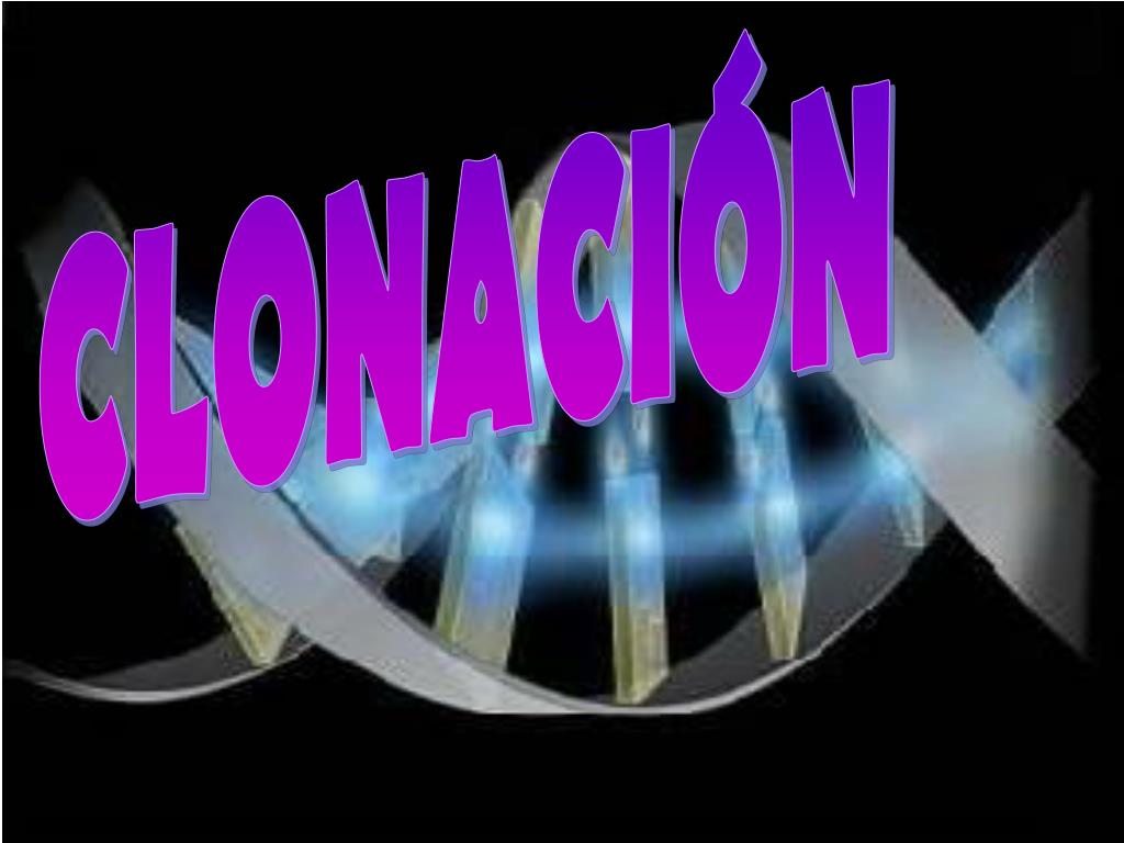 PPT CLONACIÓN PowerPoint Presentation, free download ID6954749