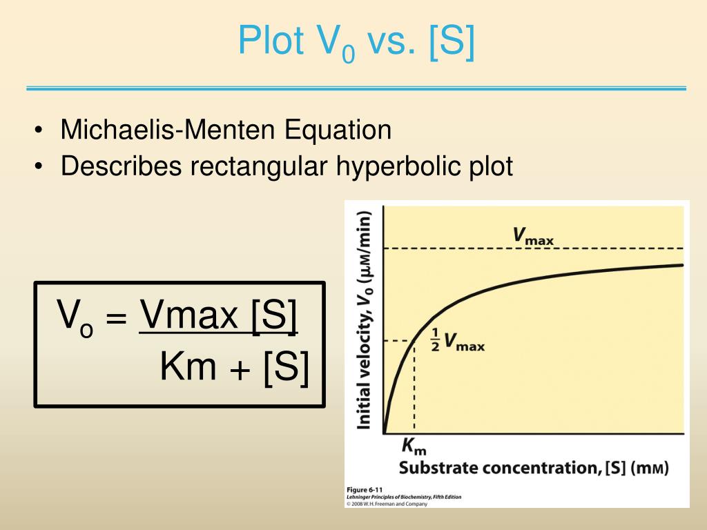 PPT Chapter 6.3 Enzyme PowerPoint Presentation, free