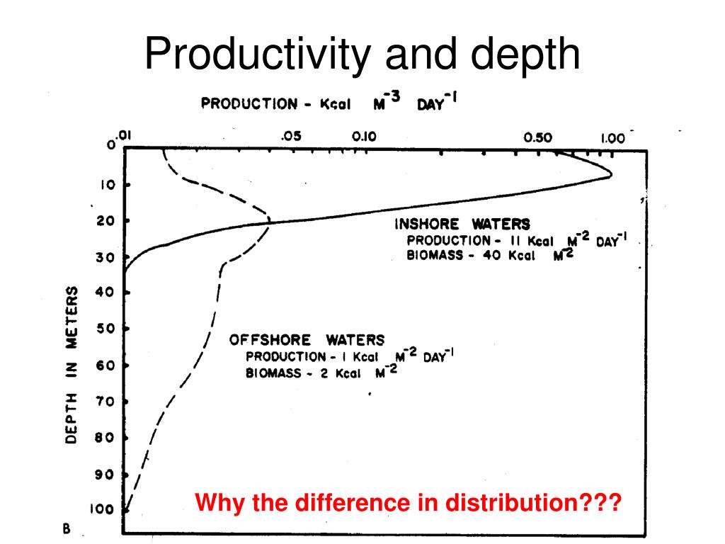 PPT Primary Productivity & Phytoplankton Growth PowerPoint