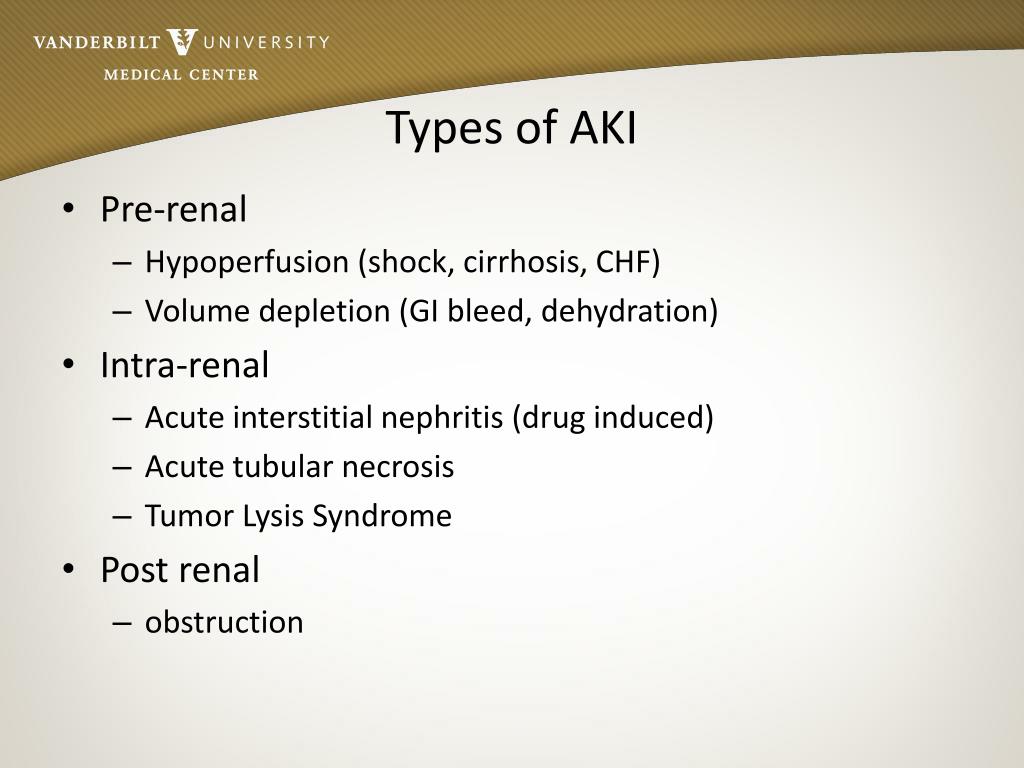 PPT Acute Kidney Injury in the Critically Ill PowerPoint Presentation