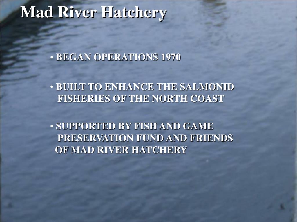 PPT Iron Gate Hatchery PowerPoint Presentation, free download ID