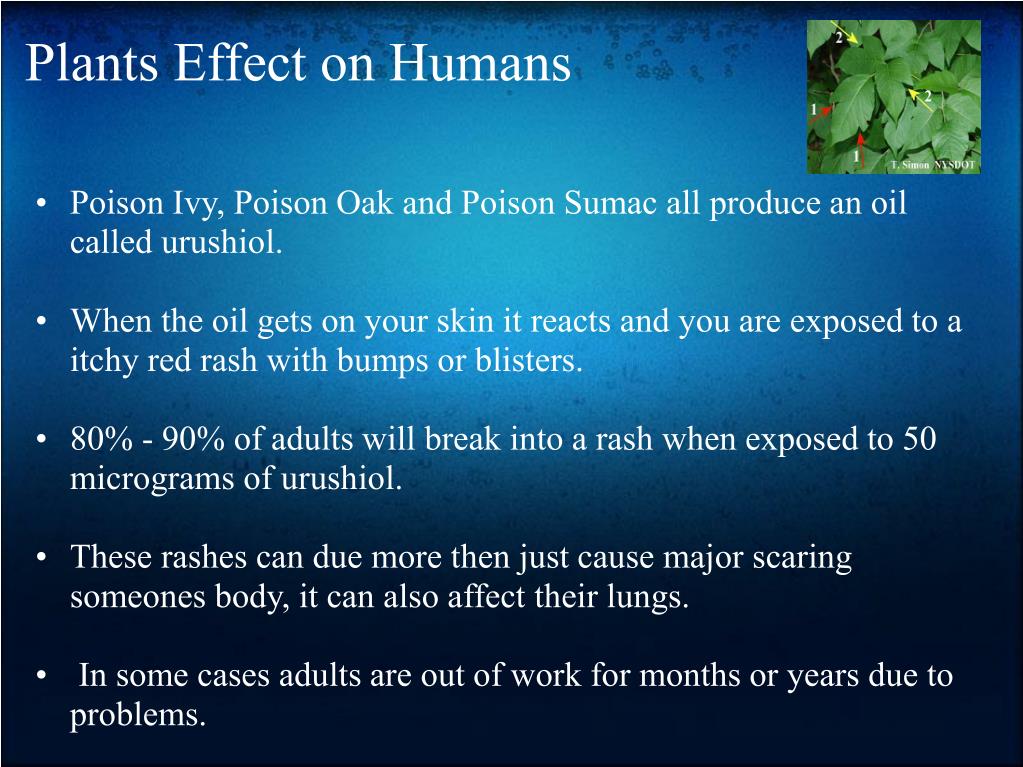 PPT Environment & Human Health PowerPoint Presentation, free download
