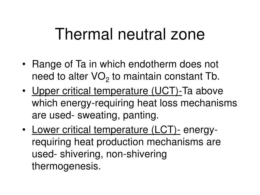 PPT Metabolismo PowerPoint Presentation, free download ID6966202