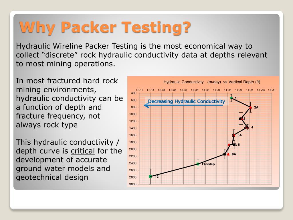 PPT Packer Testing Program Design and Management PowerPoint
