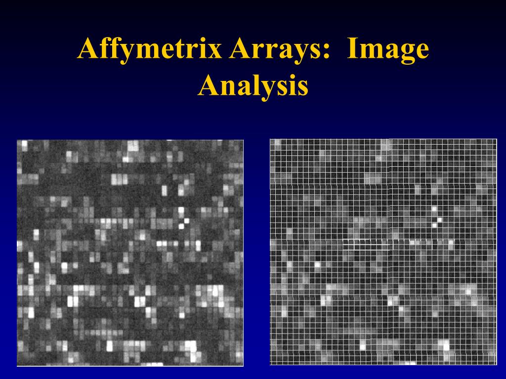 PPT Introduction to DNA Microarrays PowerPoint Presentation, free