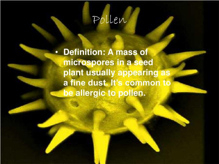 PPT Plant Terms PowerPoint Presentation ID6980931