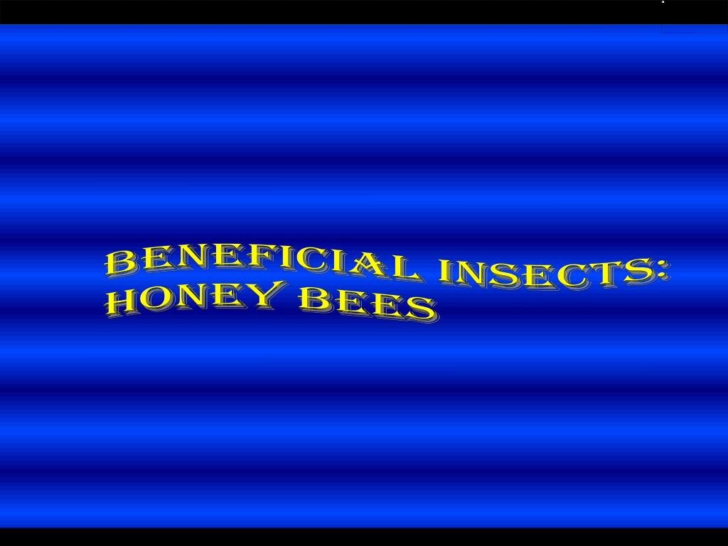 PPT Beneficial insects HONEY BEES PowerPoint Presentation, free