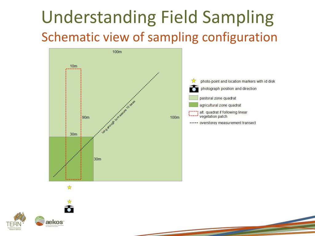 PPT The Process of Data Ingestion in ÆKOS PowerPoint Presentation