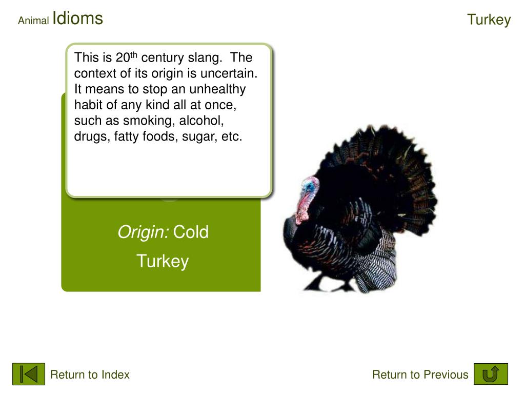 PPT Animal Idioms PowerPoint Presentation, free download ID6990013
