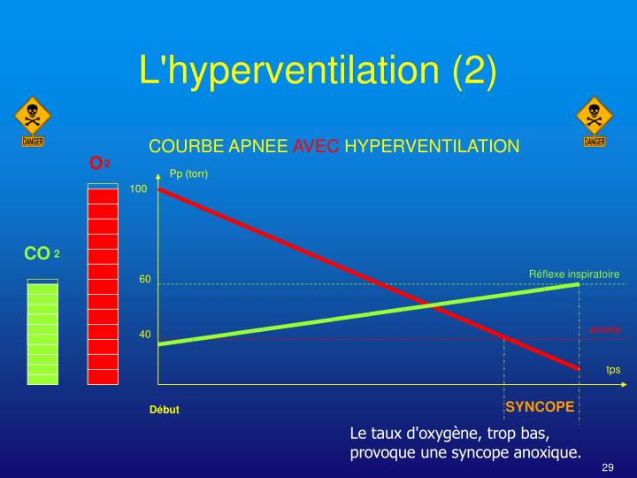 PPT L’ Apnée Connaissances et approche théoriques pour Apnéiste Niveau 2 PowerPoint