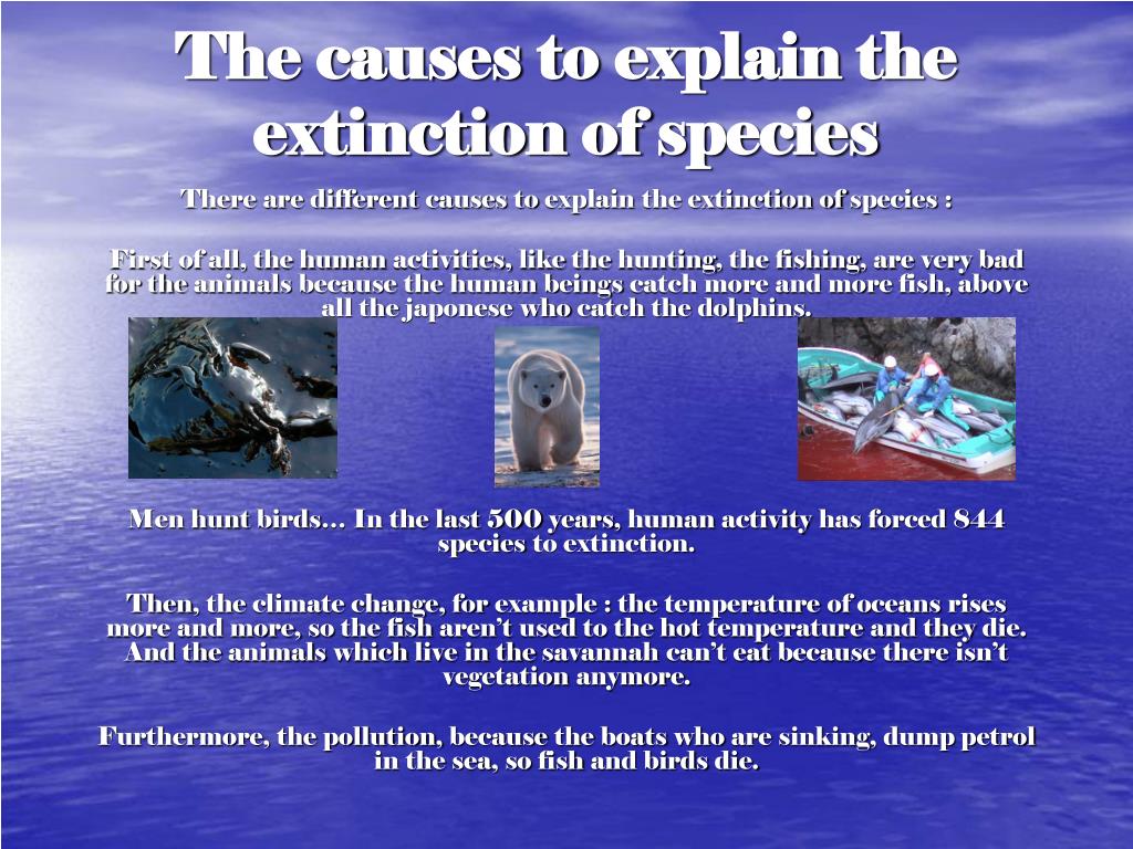 PPT Extinction of species PowerPoint Presentation, free download ID